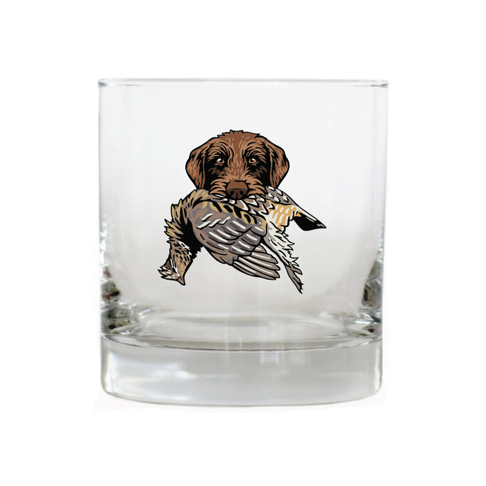 |Pudelpointer with a Ruffed Grouse