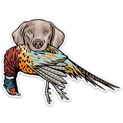 |Weimaraner with a Pheasant