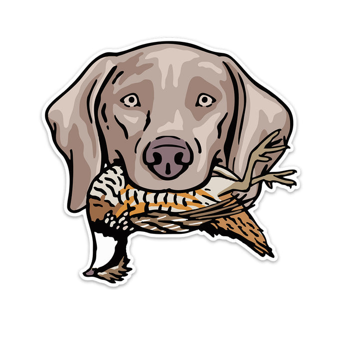 |Weimaraner with a Bobwhite Quail