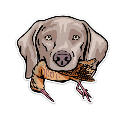|Weimaraner with a Woodcock