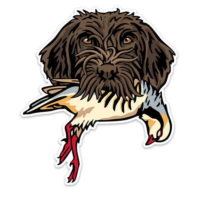 |Griffon with a Chukar