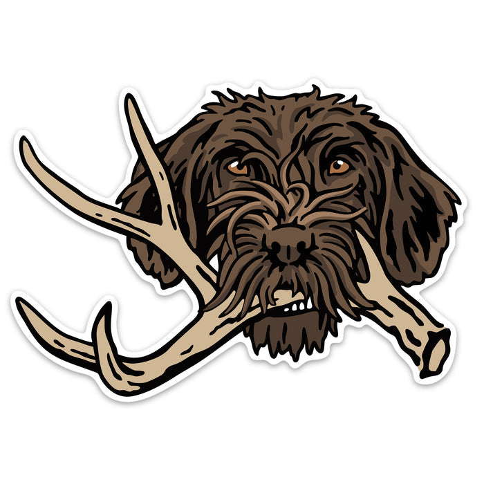 |Griffon with a Shed Antler