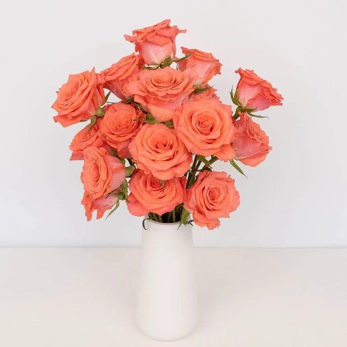 Valentine's Salmon Pink Rose Special Vase - Image