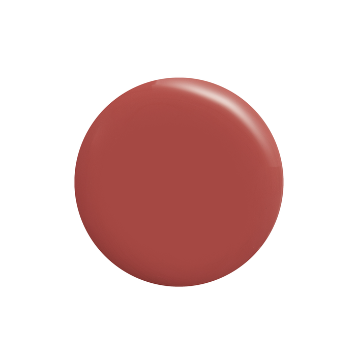 Wanderer muted brown brick red nail polish color swatch