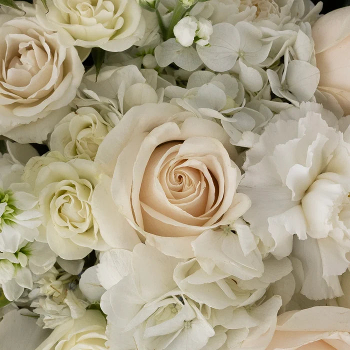 Farm To Table White Diy Flower Kit Close Up - Image