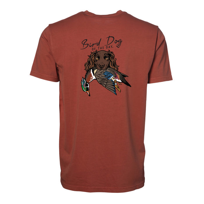 Boykin with a Wood Duck / Red Clay / XS