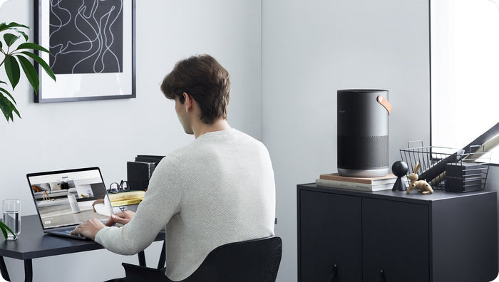 Xiaomi SmartMi Air Purifier P1